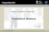 Cerámica Blanca Tandil - 2010 HIGIENE y SEGURIDAD INDUSTRIAL Capacitación.