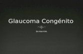 Glaucoma CongénitoGlaucoma Congénito  Rara pero severa  Primaria  Anormalidades del desarrollo del segmento anterior  Otros padecimientos.