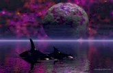 Da ñ os ambientales en la caza de animales Tema : Caza de ballenas Grupo violeta.