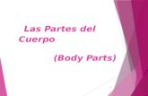 Las Partes del Cuerpo (Body Parts) 1. EL CODO 2 (ELBOW)