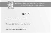 TEMA Área Académica: Contaduría Profesor(a): Karina Pérez Camarillo Periodo: julio-diciembre 2015.