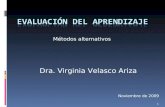 Métodos alternativos 1 Dra. Virginia Velasco Ariza Noviembre de 2009.