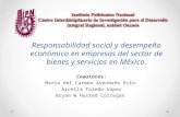 Responsabilidad social y desempeño económico en empresas del sector de bienes y servicios en México. Coautores: María del Carmen Avendaño Rito Arcelia.
