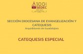 SECCIÓN DIOCESANA DE EVANGELIZACIÓN Y CATEQUESIS Arquidiócesis de Guadalajara CATEQUESIS ESPECIAL.