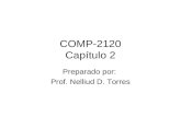 COMP-2120 Capítulo 2 Preparado por: Prof. Nelliud D. Torres.