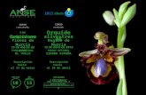 Las Orquídeas también son flores de Murcia ¡PLAZAS LIMITADAS! 15 de marzo de 2015 PARQUE REGIONAL EL VALLE 10 € 15 € SOCIOS NO SOCIOS Inscripción hasta.
