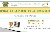 Técnicas de Minería de Datos Centro Universitario Valle de México Minería de Datos Dra. Maricela Quintana López Elaborado por:
