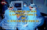 ESTADIFICACIÓN LAPAROSCÓPICA del CÁNCER GÁSTRICO Dr. Francisco Asencio Arana Hospital Arnau de Vilanova VALENCIA - 2001 9.