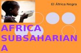 AFRICA SUBSAHARIANA El África Negra. DEMOGRAFÍA COMPUESTA POR 43 PAÍSES (en continente). MIL MILLONES DE HABITANTES ESPERANZA DE VIDA: 46 AÑOS.