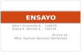 Elba I. Emicente S. 130579 Diana K. Bonilla S. 134734 PC214-16 Mtro. Samuel Sánchez Hernández ENSAYO.
