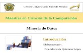 Introducción Centro Universitario Valle de México Minería de Datos Dra. Maricela Quintana López Elaborado por: