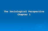 The Sociological Perspective Chapter 1. La sociología como sistema analítico  La sociología se enfoca en el estudio científico de la organización humana.