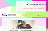 Marco competencias.ppt