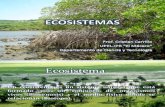 Clase 3 de Ecosistemas UCV (Clase 3)