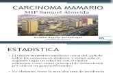 Carcinoma Mamario - Mip Almeida
