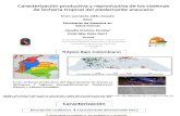 2 Caracterización productiva y reproductiva de los sistemas de los sistemas de lecheria tropical en el piedemonte araucano.pdf