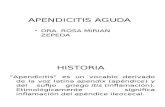 Apendicitis Aguda Historia Anatomia