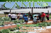 CAMPO - AÑO 15 - NUMERO 175 - ENERO 2016 - PARAGUAY - PORTALGUARANI