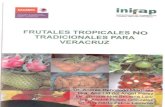 Frutales Tropicales No Tradicionales Para Veracruz