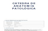 3er Año Medicina 2013-Anatomia Patologica
