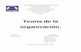 Trabajo de Teoria de La Organizacion