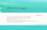 Patología Nervio Óptico y Glaucoma