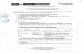 Proceso de Contrato Seguimiento Pedagogico CAS.pdf