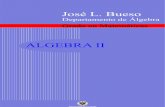 J.L.Bueso - Álgebra discreta y de grupos