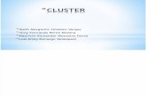Exposición Final Cluster1