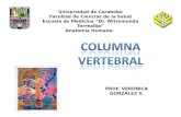 1 Columna Vertebral anatomía descriptiva