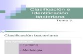Técnicas de Identificación Bacteriana