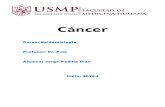 Monografia Epidemio Cancer