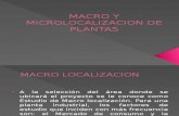 Macrolocalizacion y microlocalizacion
