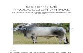 Produccion de Carne Bovina Bajo Pastoreo en El Trópico Esquipo 7.