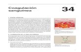 34 Coagulacion Sanguinea