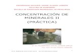 Guía de Practicas de Concentración de Minerales II