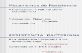Resistencia Bacteriana Comb