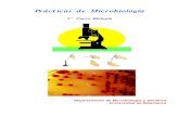 Bacteriologia - Praticas Em Microbiologia (Espanhol)