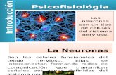 Neuronas y SNC Y SNP
