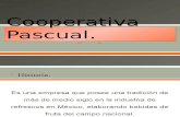 Cooperativa Pascual Diapositivas
