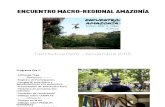 Resumen: Encuentro Macro-Regional Amazonía