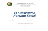 Trabajo Psicologia El Subsistema Humano Social