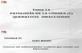 202034_PDF TEMA 11 PATOLOGIA DE LA CORNEA I 2012.pdf