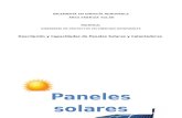 Descripción de Paneles y Calentadores - Luis Alberto Sierra Vargas