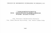 GARAICOCHEA - Transporte de Hidrocarburos.pdf