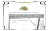 Reconocimiento  de Estructuras  Hidráulicas  del Sistema  de Irrigación   CHAVIMOCHIC  en  Cerro Blanco vargas garcia.docx