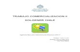 Trabajo Comercializacion II - Estudio Economico y Financiero - Solgener Chile