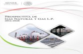 Prospectiva Gas Natural Gas LP 2014
