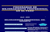 Programas de Mejoramiento Profesional en El Peru