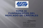 Tema 3 Fundamentos Del Mercado de Capitales